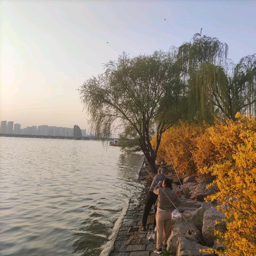 🌴 喝着敌敌畏吐泡泡🌴