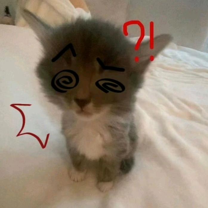 发型乱了