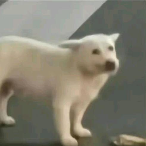 2222-