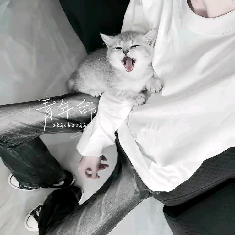我没有你。我叫我姑。