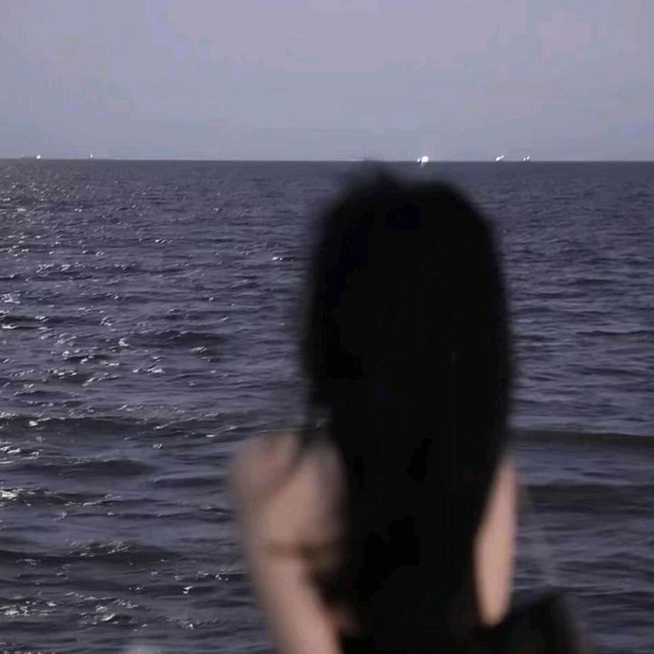 林间雾漫