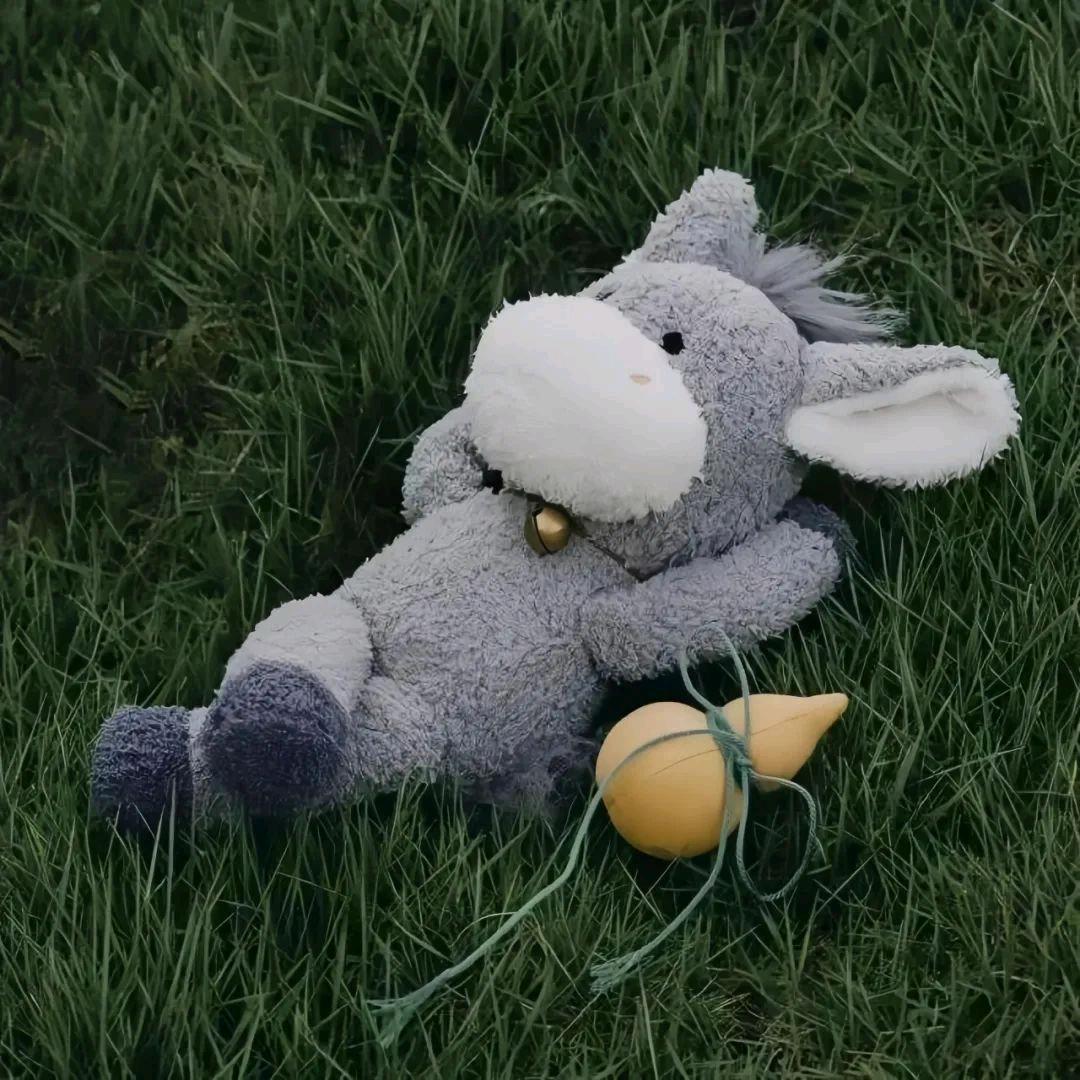 天天不开心不如死