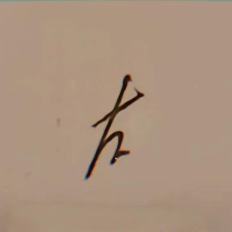 人才   4