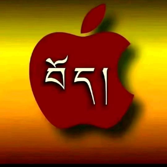 看吧，韩总😙❤️