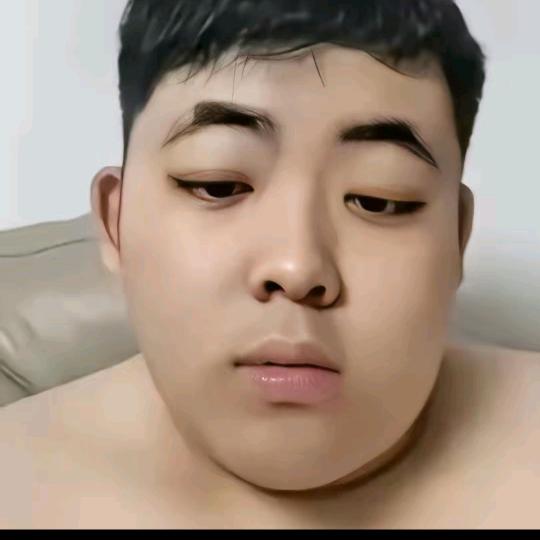 生气的猫
