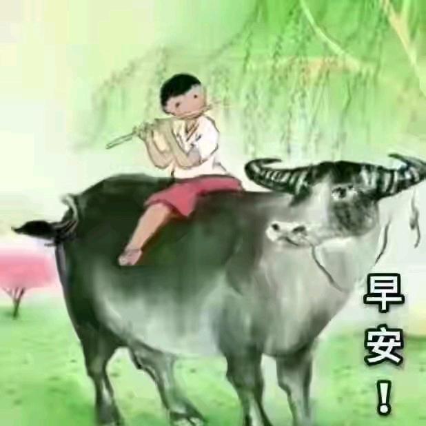 艳阳天