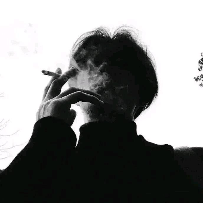 小杨.