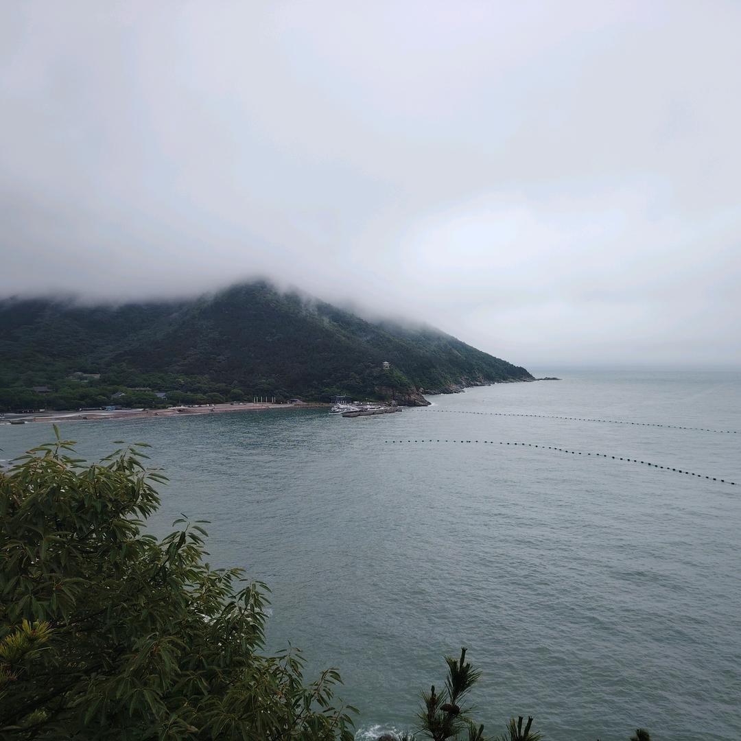 顺其自然