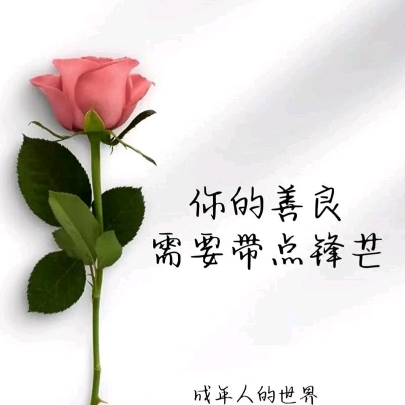 安振心仪