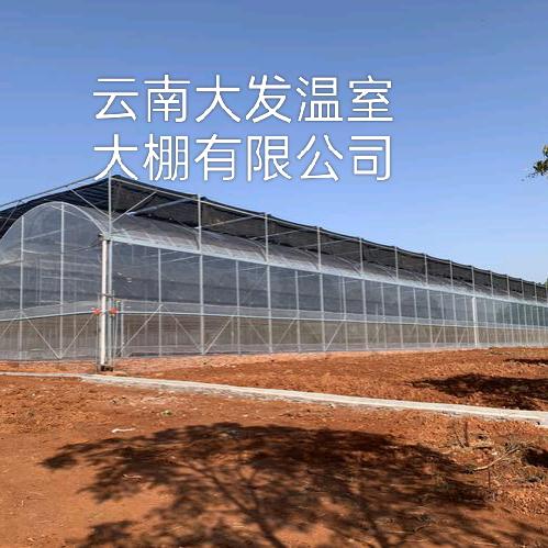 云南大发温室大棚