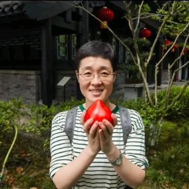 晓艳带你学英语