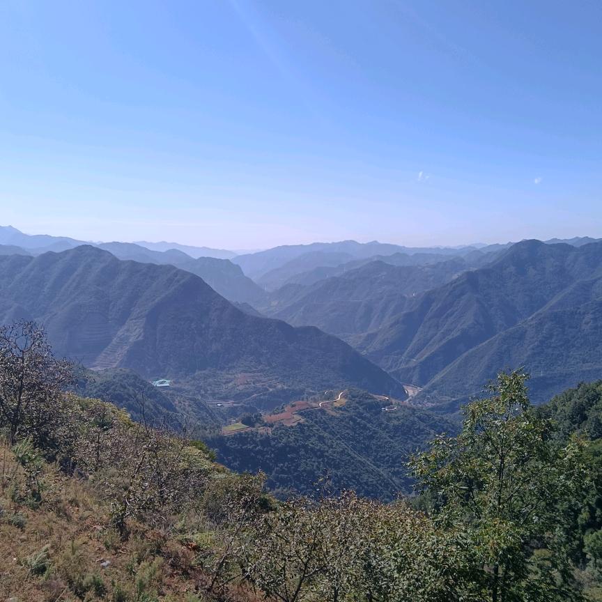 小白爱钓鱼