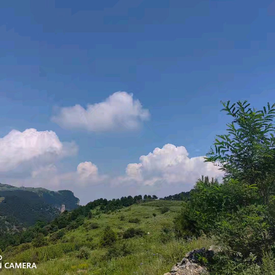 💗᭄余生ᝰᩚ安好ꦿ