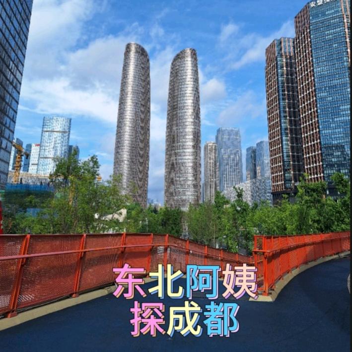东北阿姨探成都