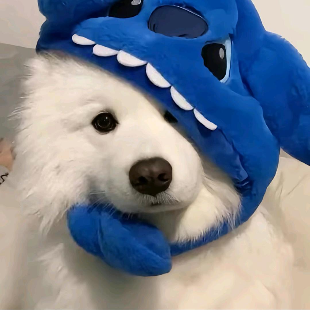 在睡觉