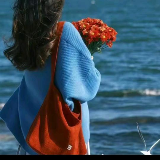海上月拒私聊