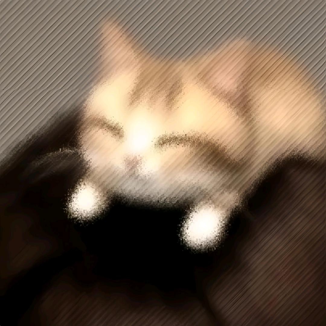 猫猫球