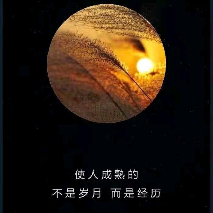 凤凰涅槃