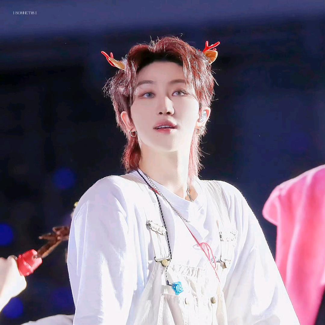 兔兔不次胡萝卜🥕