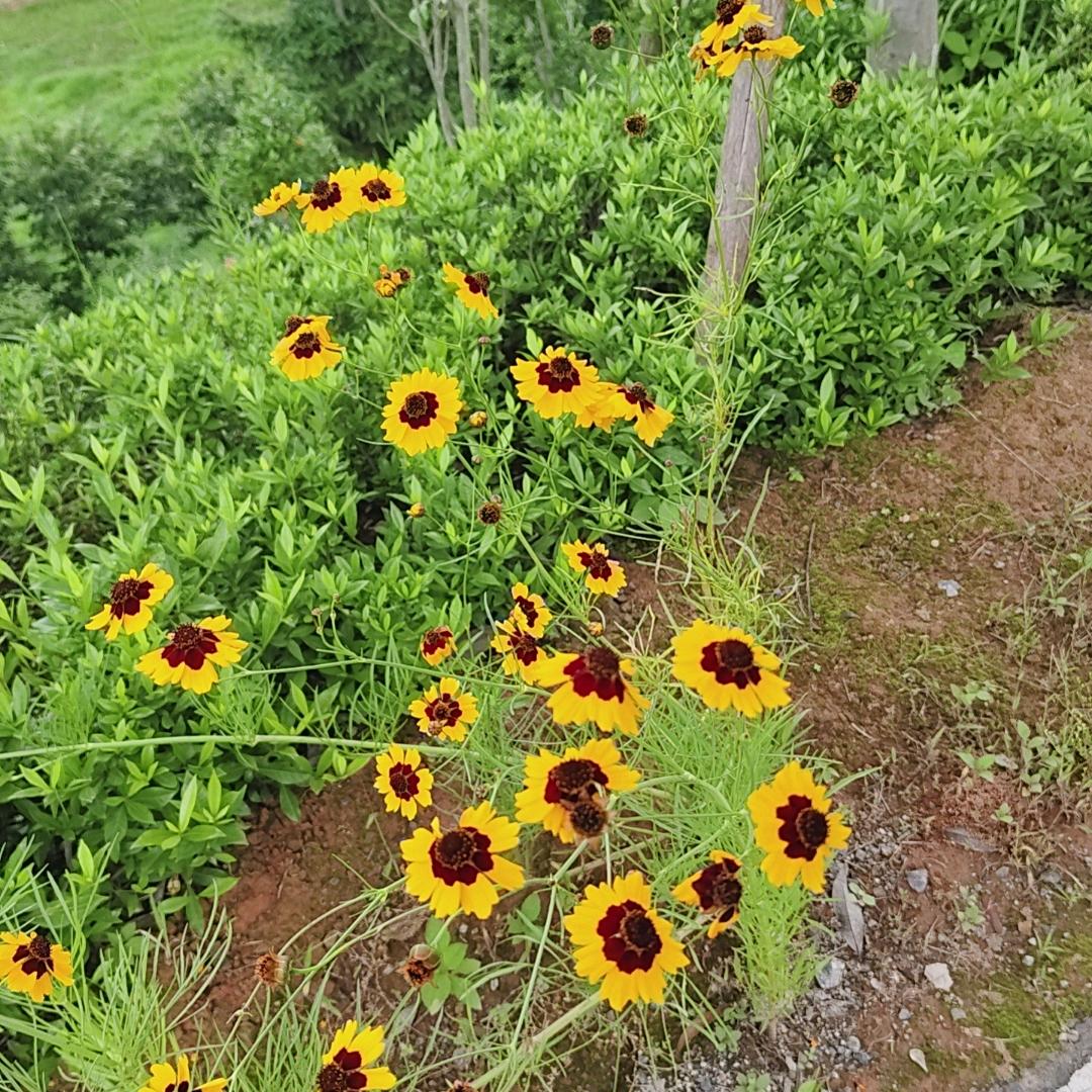 😪😰👾👺👽🤖🤖