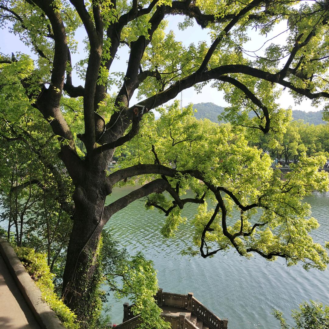 时光偷走了初心