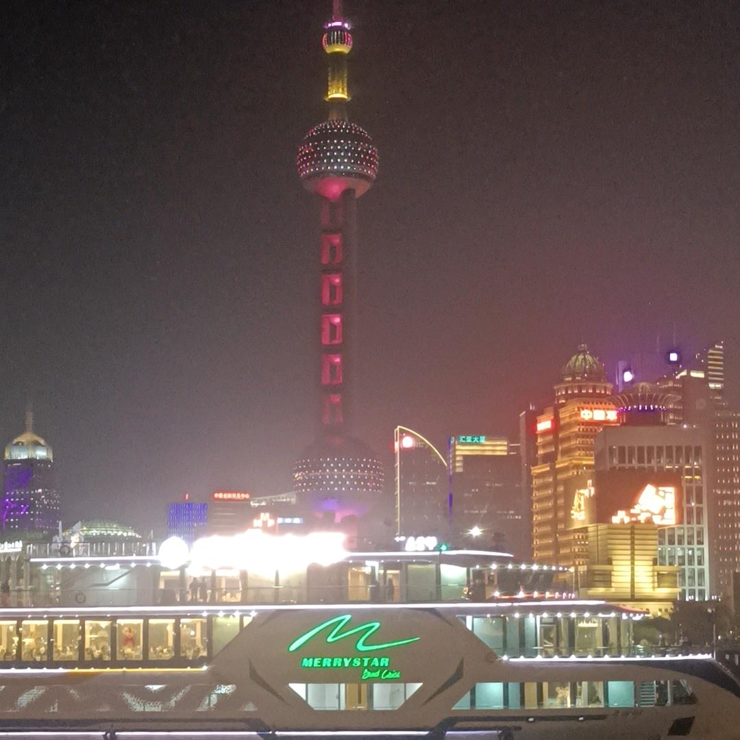 坐在树上🌲看蚂蚁🐜王