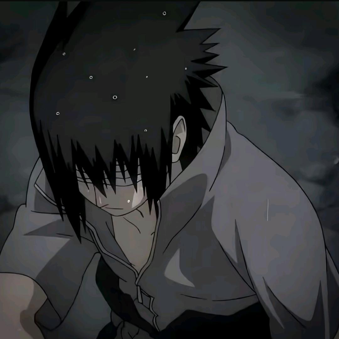 白月光💫