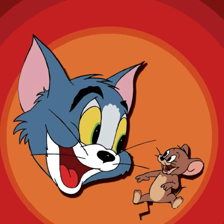 《起点袜子定型》