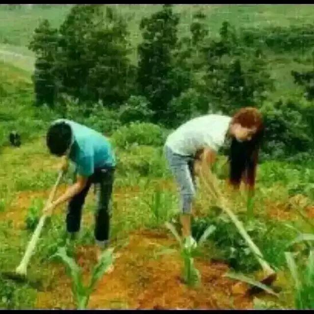 ꧁༺ཌ 佬婶ད༻꧂