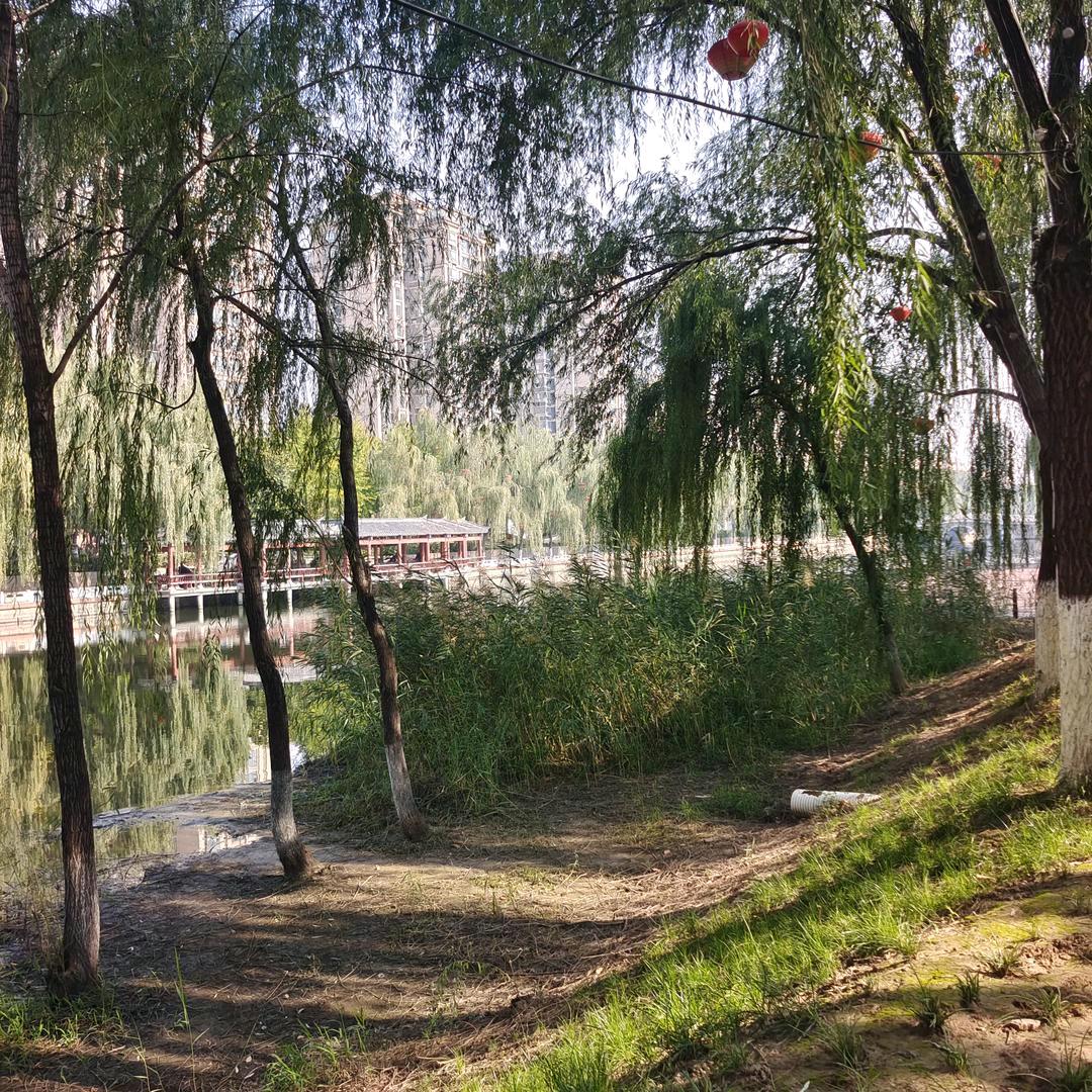 心情就像雪花一样就好