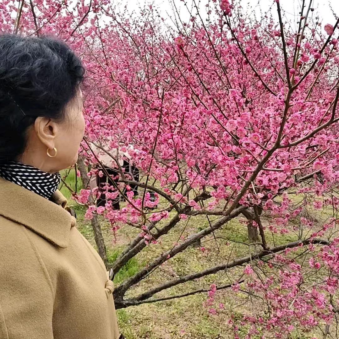 徐勋桥
