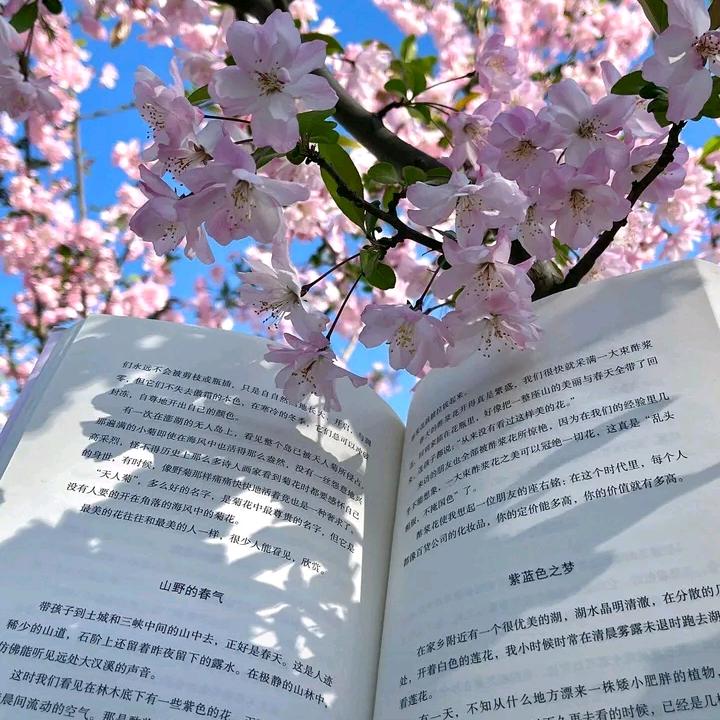辨对错头像