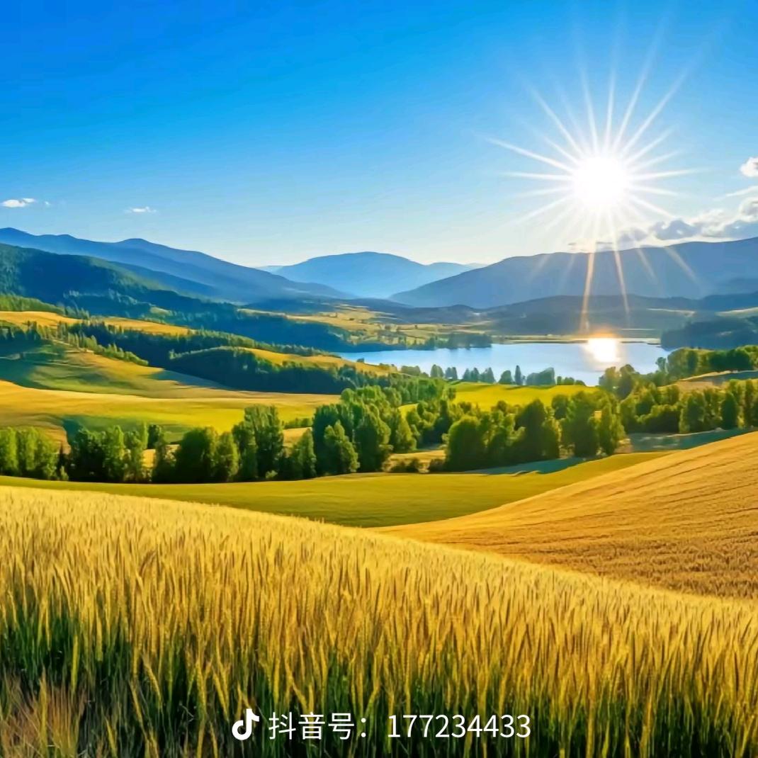 戚淋