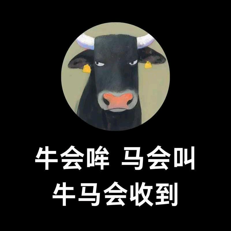 干点啥呢头像