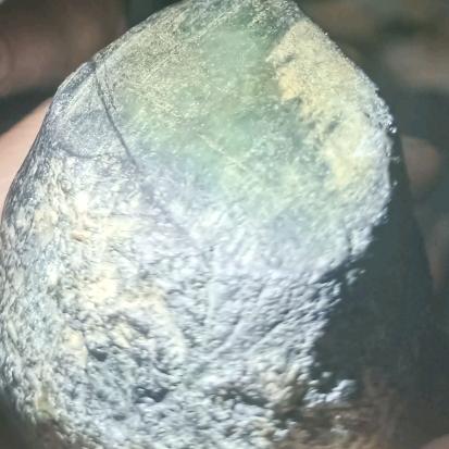 小金重启人生