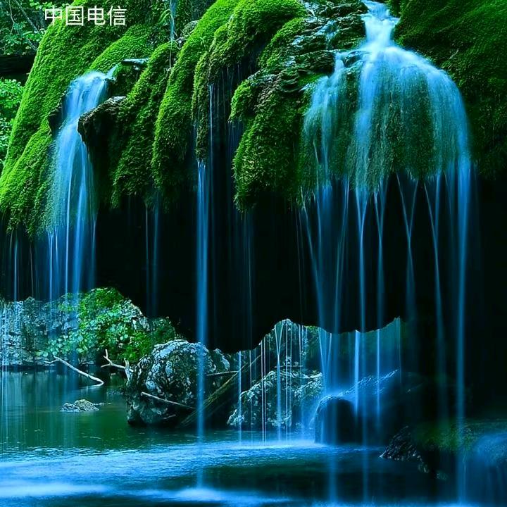 大峡谷野蜂蜜