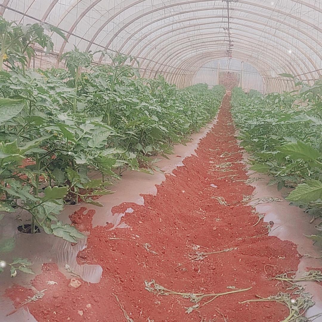 以后