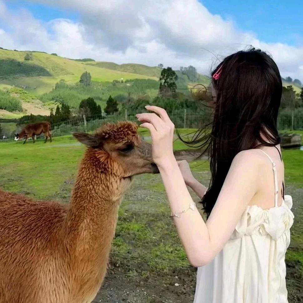 Braveʕ ᵔᴥᵔ ʔ汪