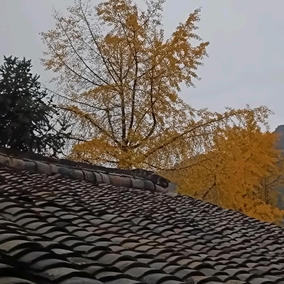 🩷时光安好🩷