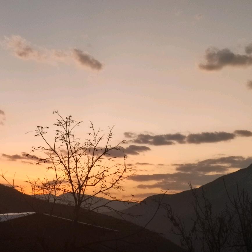 北北（逆改良麟基地魏老师）