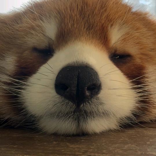 海边探戈【挂机勿Q】