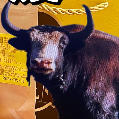 活力源泉非凡小拉