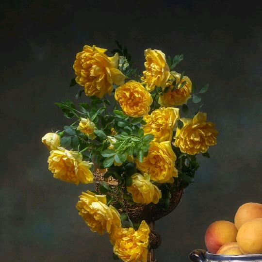 我爱我家专业收废品。