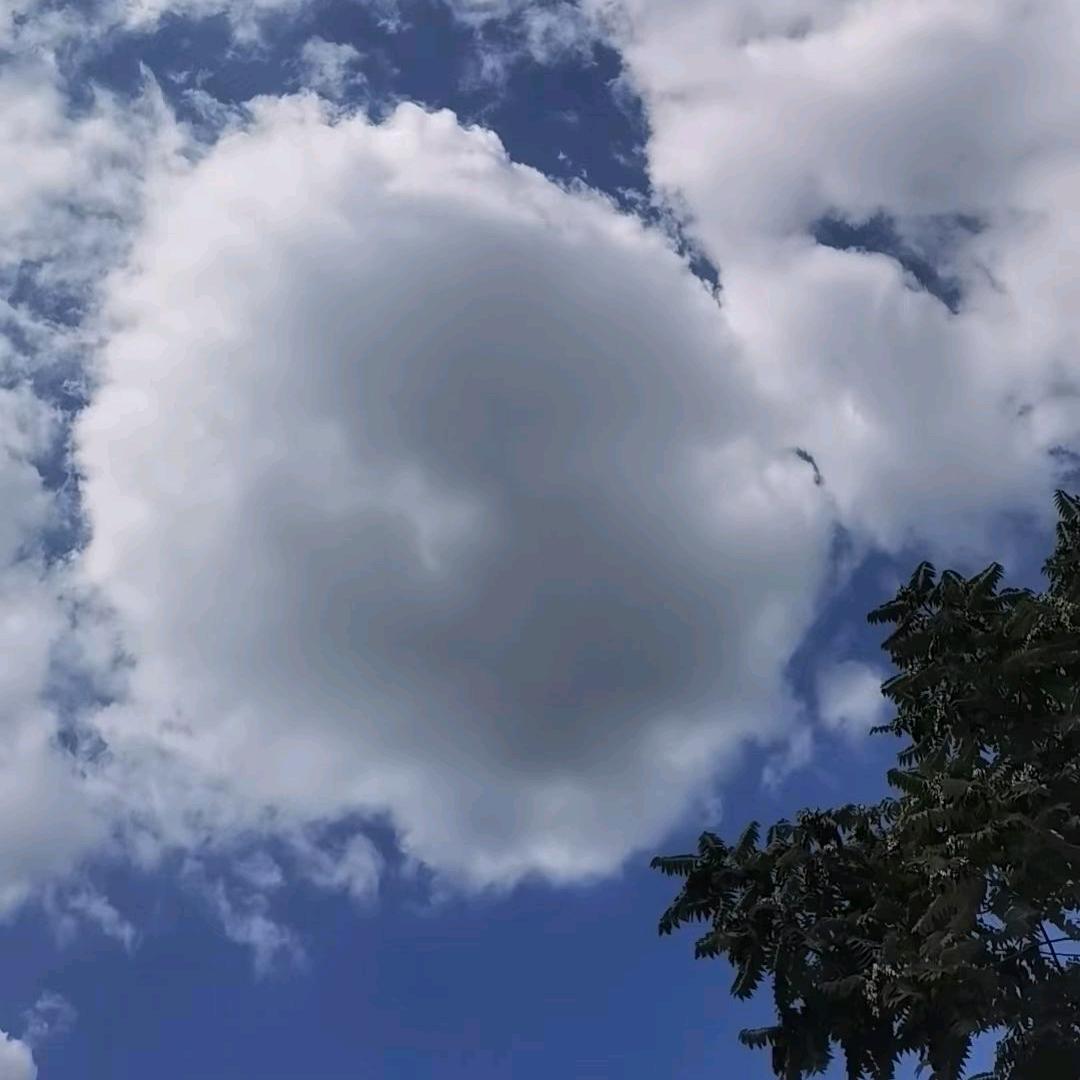 摘星客