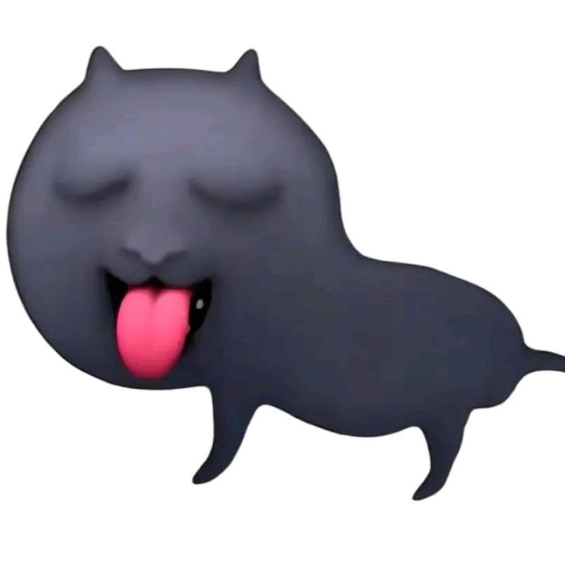 命运2零零