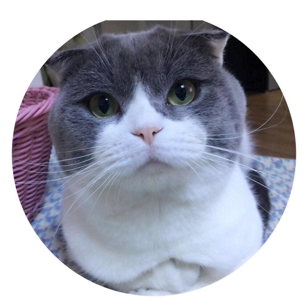 ↺๓₯㎕↭♡℡飞羽