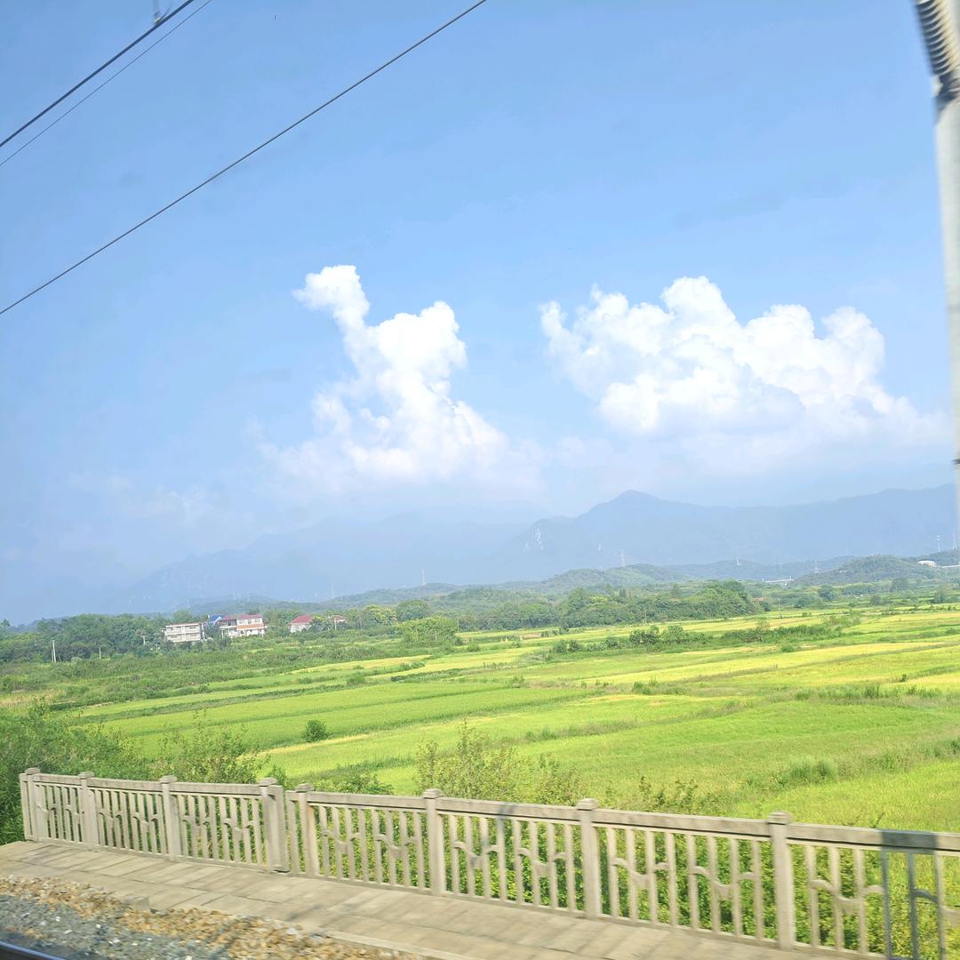手机用户72298572337