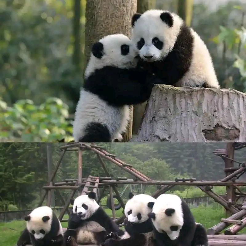 快乐达人