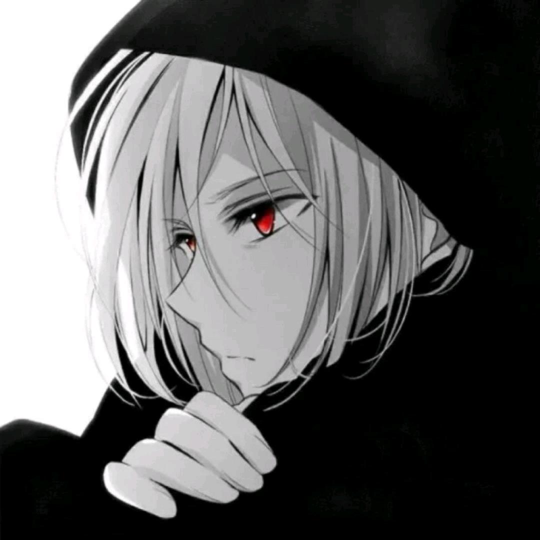 ZSD庄庄