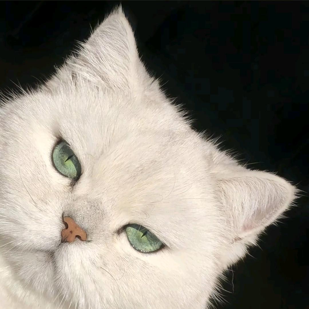周满满